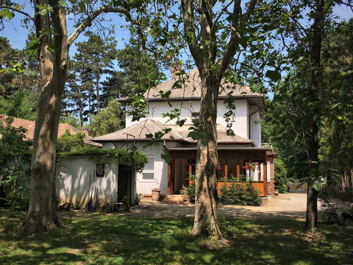 Honved Apartmanhaz Balatonlelle Exterior foto